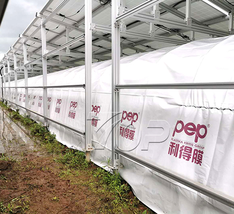 Cobertizo agrícola de invernadero de 2MW en Japón